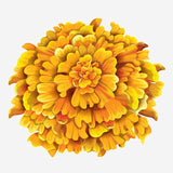 Spring Flower Bouquet Decals - Cover-Alls Decals