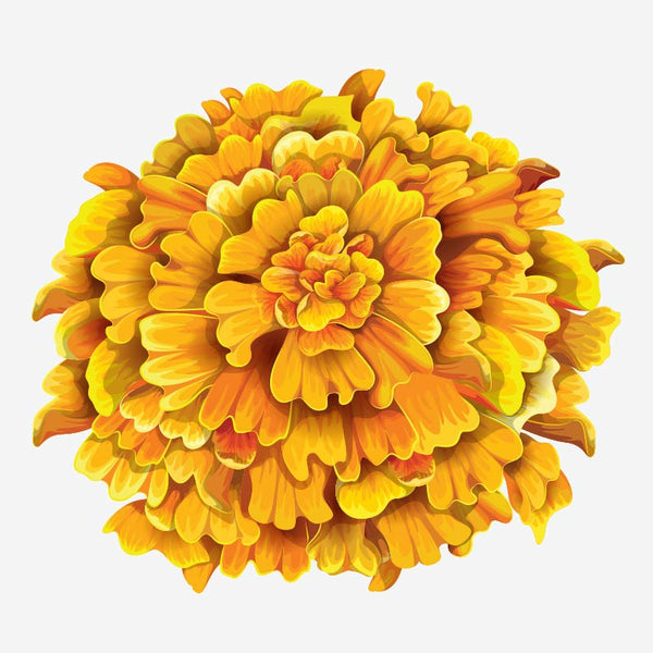 Spring Flower Bouquet Decals - Cover-Alls Decals