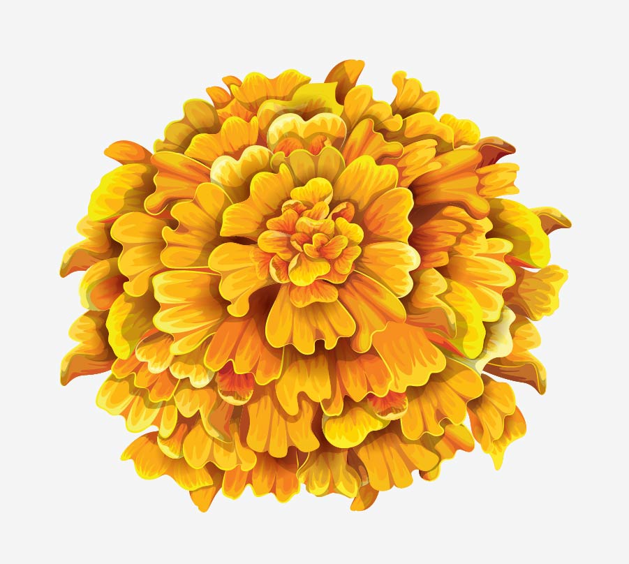 Spring Flower Bouquet Decals - Cover-Alls Decals