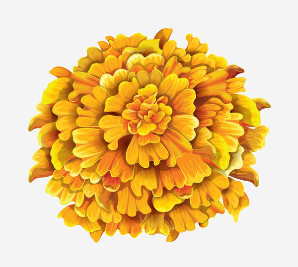 Spring Flower Bouquet Decals - Cover-Alls Decals