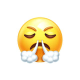 Emoji Decals - Cover-Alls Decals