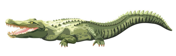 Alligator Decal - Cover-Alls Decals