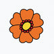 Orange Forget Me Not