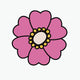 Pink Forget Me Not