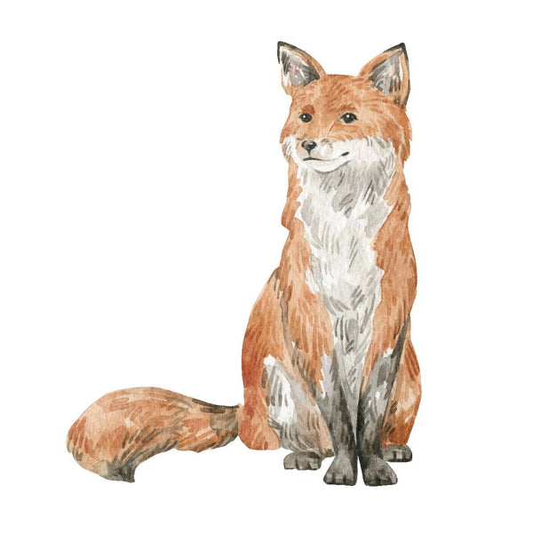 Foxes - Cover-Alls Decals