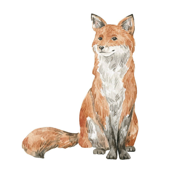 Foxes - Car Floats Reusable Car Decals