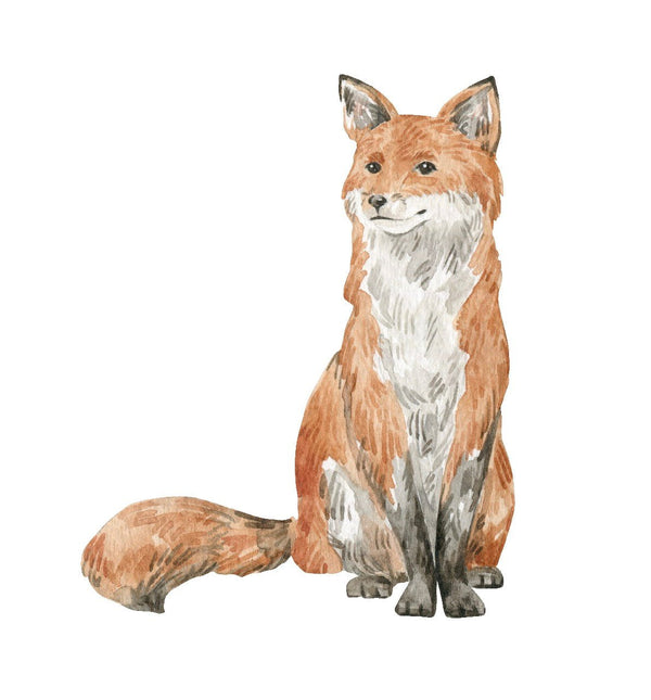 Foxes - Cover-Alls Decals
