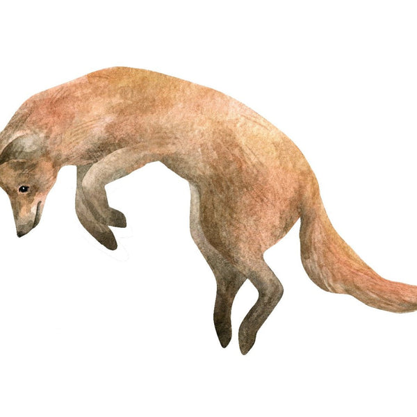 Foxes - Cover-Alls Decals