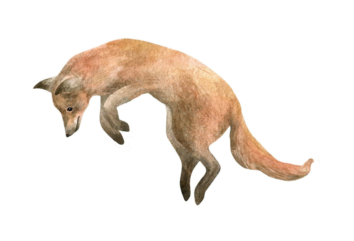Foxes - Cover-Alls Decals