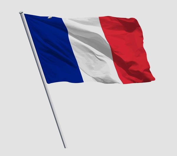 French Flag Flowing in Wind - Cover-Alls Decals