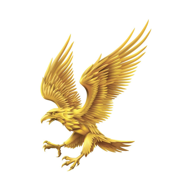 Golden Eagle - Car Floats Reusable Car Decals