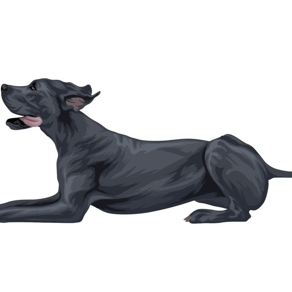 Great Dane Decal - Cover-Alls Decals