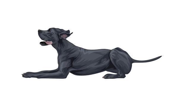 Great Dane Decal - Cover-Alls Decals