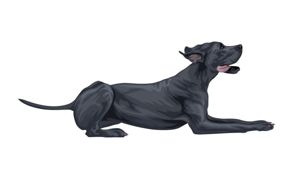 Great Dane Decal - Cover-Alls Decals