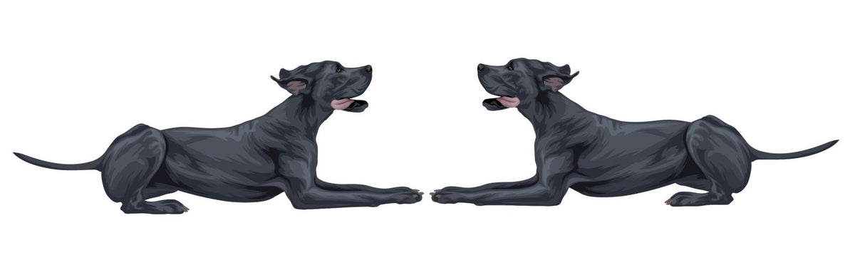 Great Dane Decal - Cover-Alls Decals
