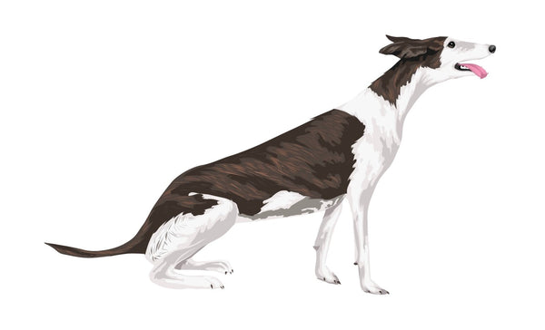 Greyhound Decals - Cover-Alls Decals