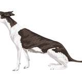 Greyhound Decals - Cover-Alls Decals