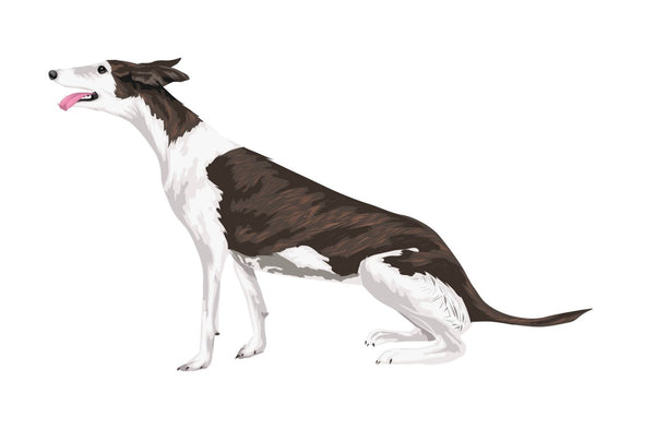 Greyhound Decals - Cover-Alls Decals