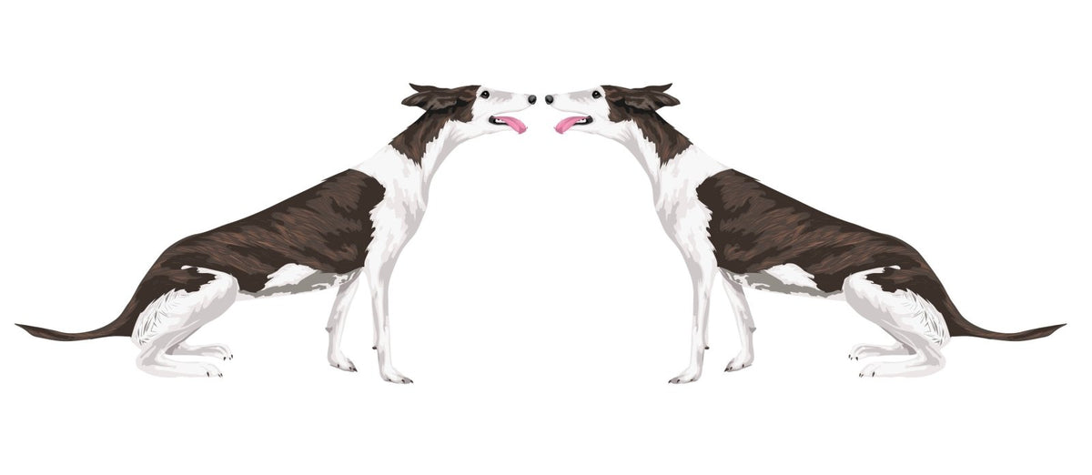 Greyhound Decals - Cover-Alls Decals