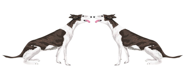 Greyhound Decals - Cover-Alls Decals