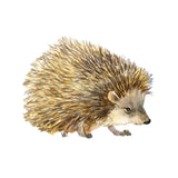 Hedgehog Decal - Cover-Alls Decals