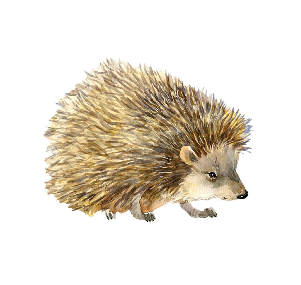 Hedgehog Decal - Cover-Alls Decals