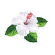  White Hibiscus + 3 Leaves