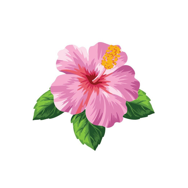 Hibiscus Flower Decals - Cover-Alls Decals