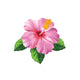  Pink Hibiscus + 3 Leaves