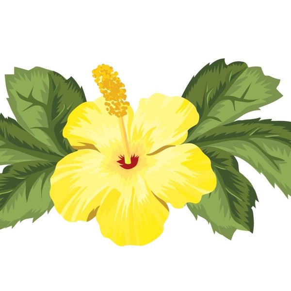 Hibiscus Flower Decals - Cover-Alls Decals
