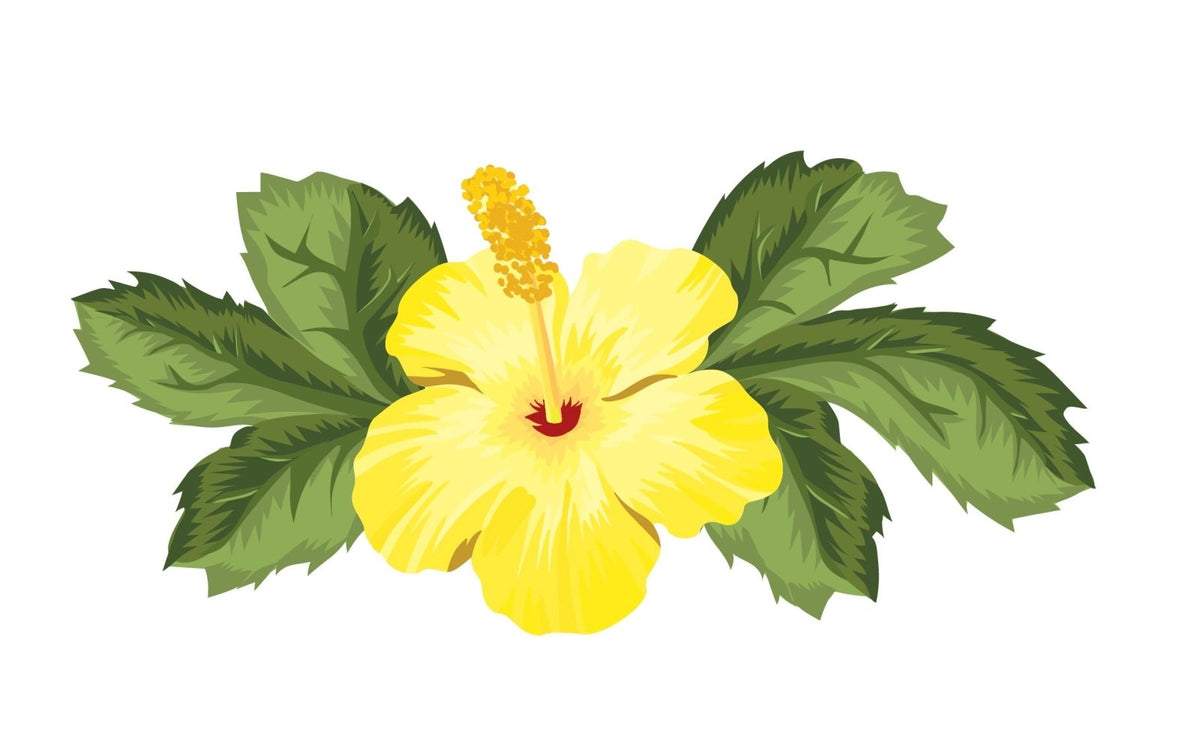 Hibiscus Flower Decals - Cover-Alls Decals