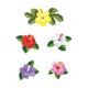 Set of 5 Flowers and Leaves
