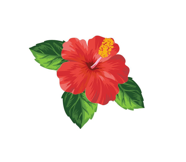 Hibiscus Flower Decals - Cover-Alls Decals