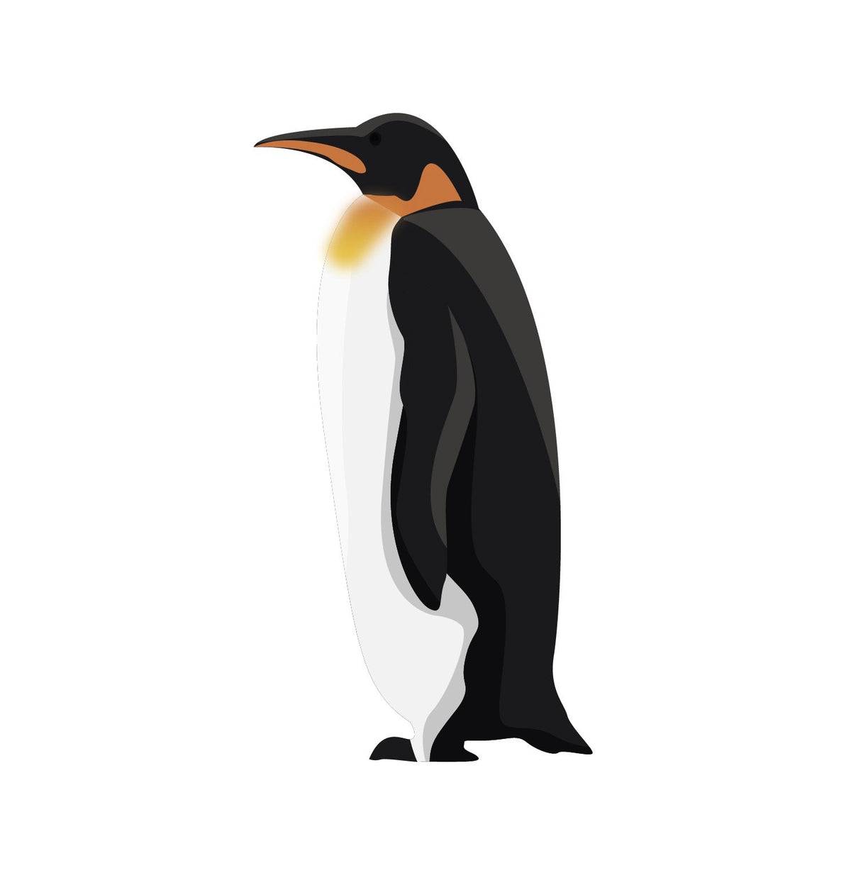 King Penguins - Cover-Alls Decals