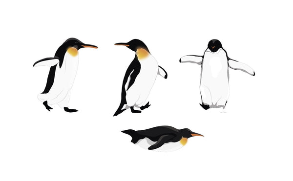 King Penguins - Cover-Alls Decals