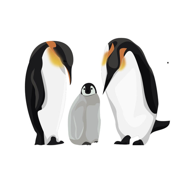 King Penguins - Cover-Alls Decals
