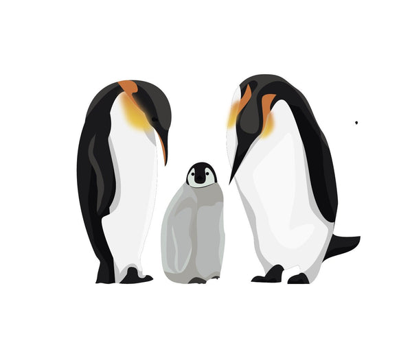 King Penguins - Cover-Alls Decals