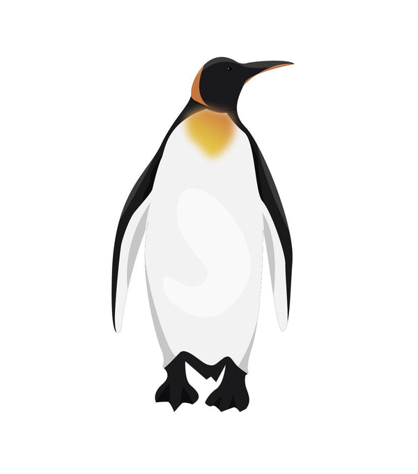 King Penguins - Cover-Alls Decals
