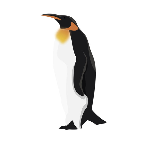 King Penguins - Cover-Alls Decals