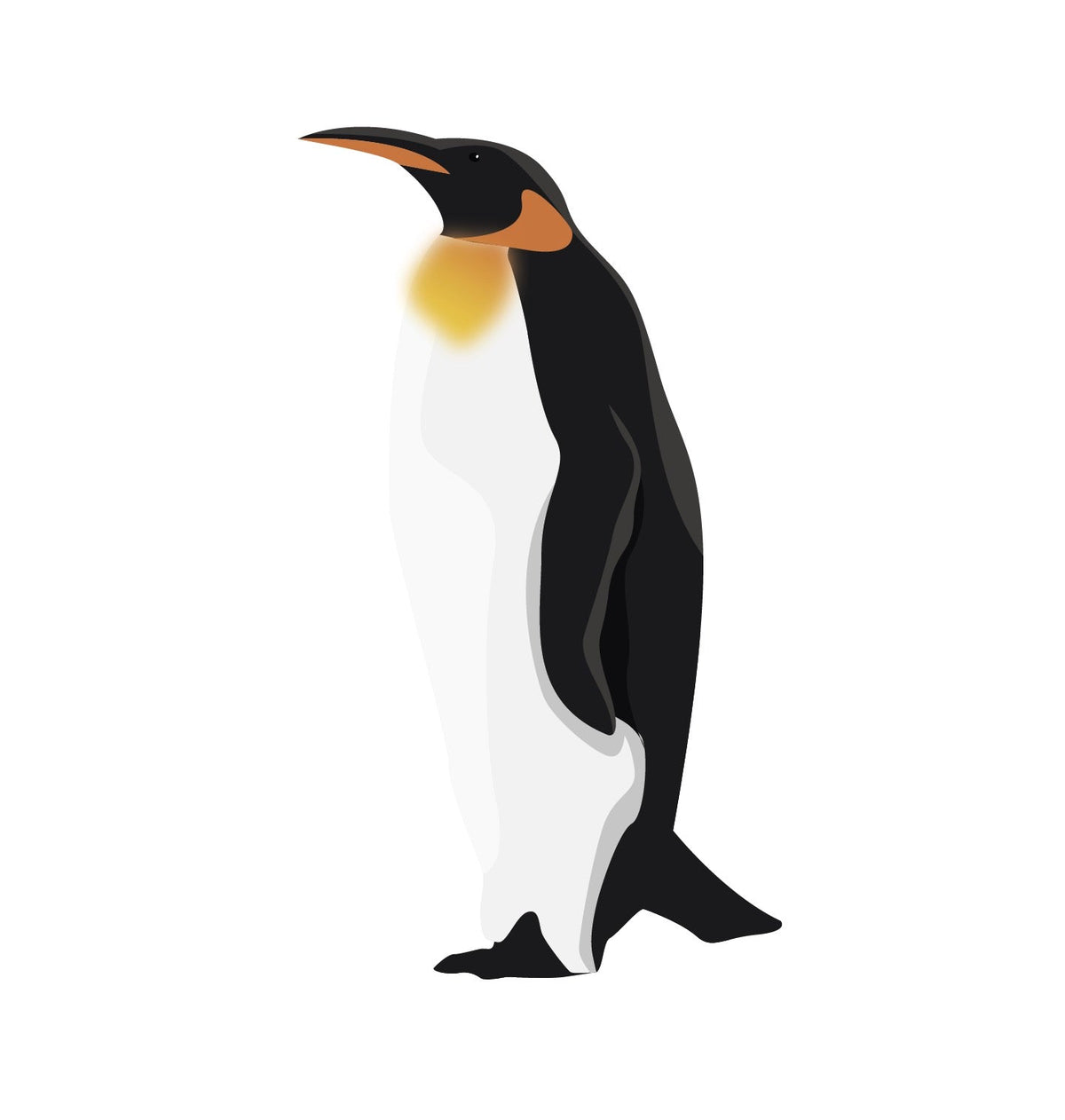 King Penguins - Cover-Alls Decals