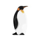 Penguin 1