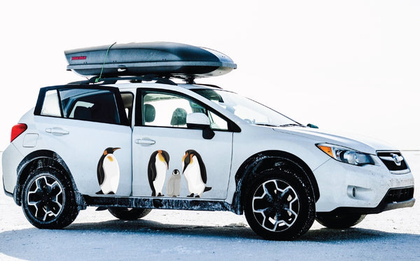 King Penguins - Cover-Alls Decals