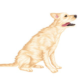 Labrador Retriever Decals - Cover-Alls Decals