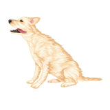 Labrador Retriever Decals - Cover-Alls Decals