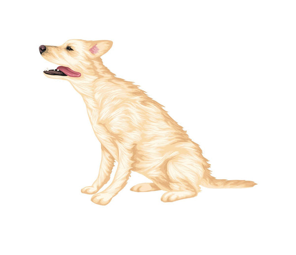 Labrador Retriever Decals - Cover-Alls Decals