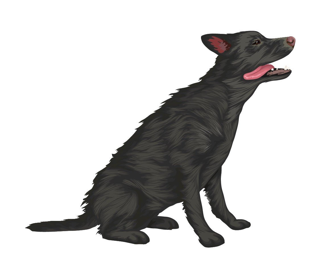 Labrador Retriever Decals - Cover-Alls Decals