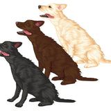 Labrador Retriever Decals - Cover-Alls Decals