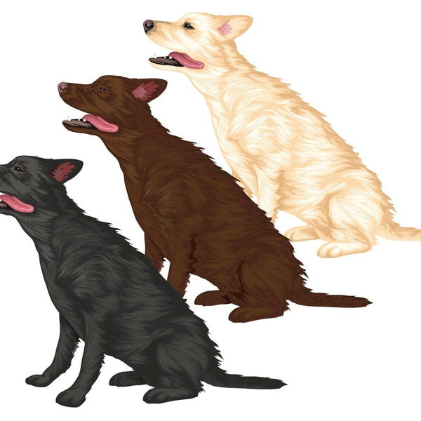 Labrador Retriever Decals - Cover-Alls Decals
