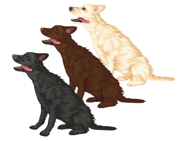 Labrador Retriever Decals - Cover-Alls Decals