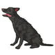 Black Lab